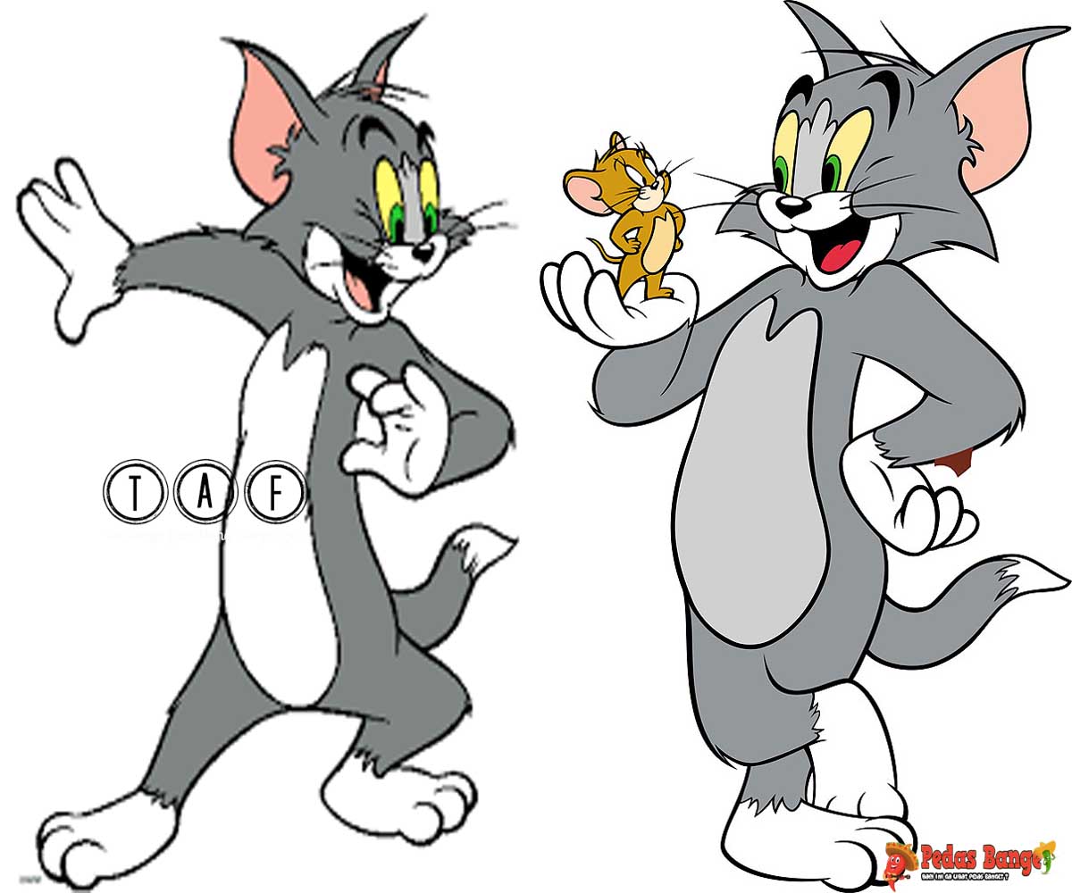 Animasi Kartun  Tom  And Jerry  Kolek Gambar 