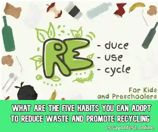 What Are The Five Habits You Can Adopt To Reduce Waste And Promote Recycling