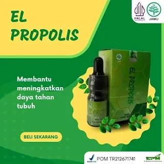 PROPOLIS EL HANIF - EL PROPOLIS