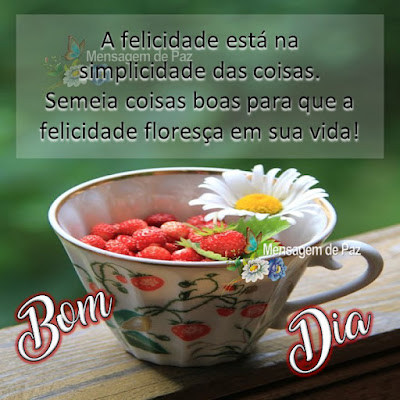 A felicidade está na simplicidade das coisas. Semeia coisas boas para que  a felicidade floresça em sua vida!   Bom Dia!