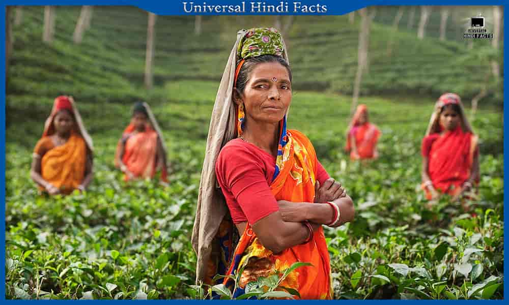 Interesting facts about india