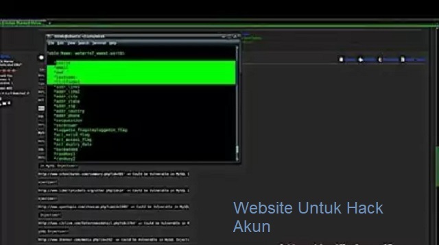 Website Untuk Hack Akun