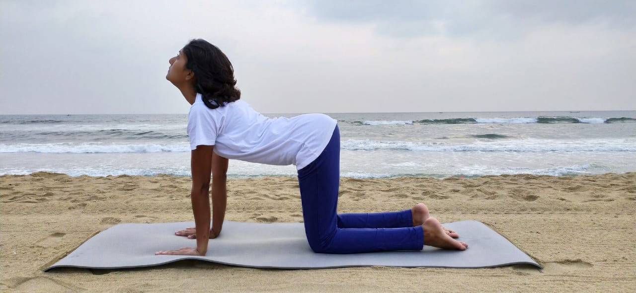 Marjalasana- The Cat Pose. Improves flexibility of the spine, helps to tone the abdomen, wrist, and knees, relieves neck, back, and waist pain, improves digestion and stretches the chest to open the lungs, extremely good during pregnancy to ease the delivery