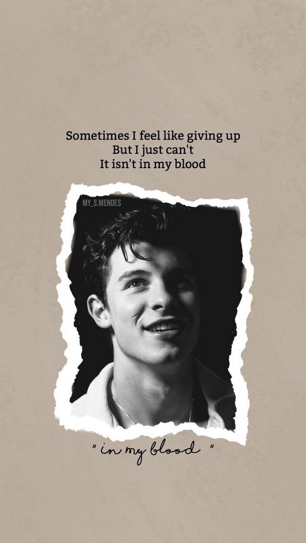 famous shawn mendes quotes