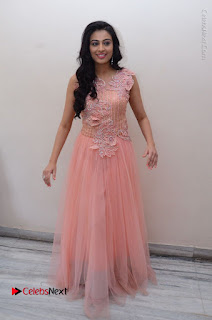 Actress Neha Hinge Stills in Pink Long Dress at Srivalli Teaser Launch  0149.JPG