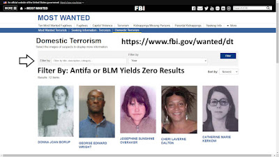 FBI Most Wanted Domestic Terrorists Antifa or BLM Yields Zero Results