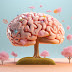  Εγκέφαλος: 8 βιταμίνες που επιβραδύνουν τη γήρανση και τον κρατούν νέο