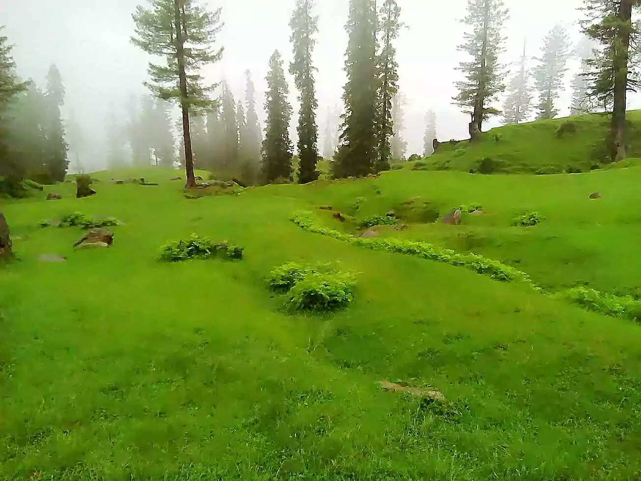 Ganga Choti Azad Kashmir | Easiest Hiking Track in Bagh