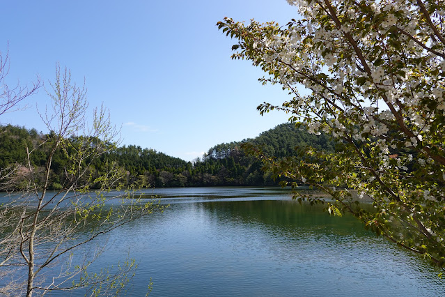 鳥取県西伯郡大山町鈑戸 種原集落の溜池