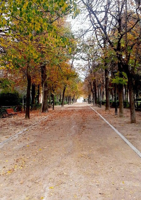 El Retiro en Otoño. Madrid me mata... pero no siempre.