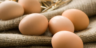 cara memilih telur baru