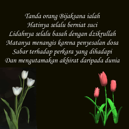 Petuah Orang Bijak  Mutiara Kearifan Tasawuf