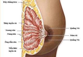 Kéo núm vú tụt có nguy hiểm không