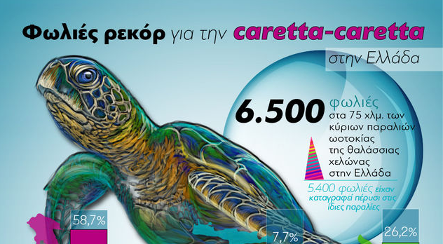 Ρεκόρ: 6.500 φωλιές caretta-caretta καταγράφηκαν φέτος στην Ελλάδα