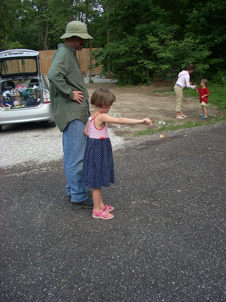 4th of July Sparklers