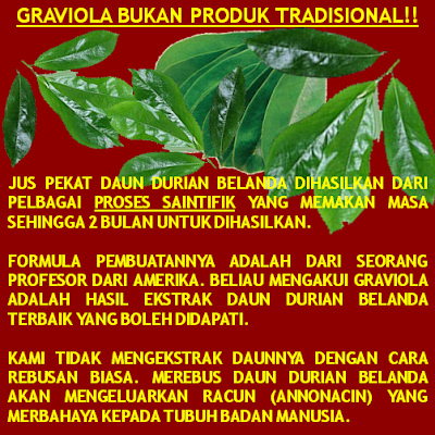 Daun Durian Belanda