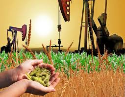 Why Food Grain and Oil Prices are Going to be High Day by Day: The World's Forecast