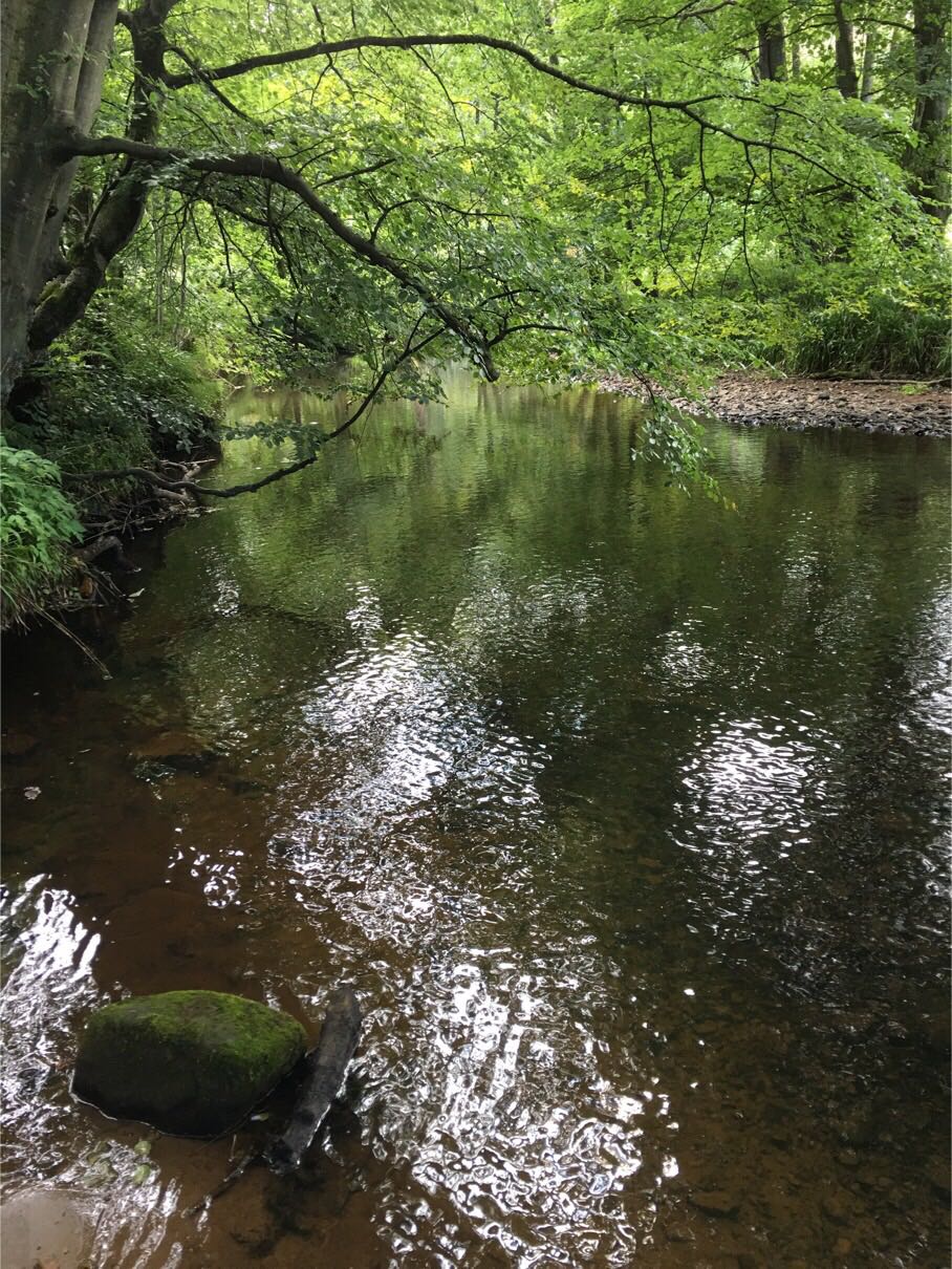 BloggerImage