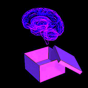 Brain In A Box4