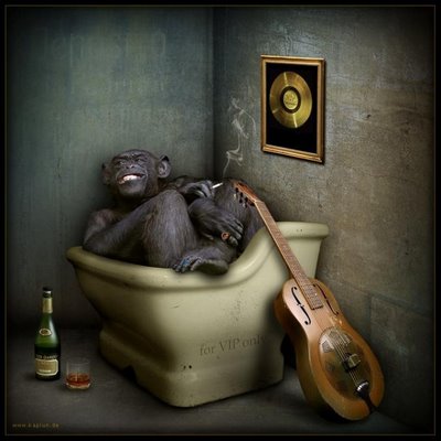 funny monkey. funny monkey having bath in