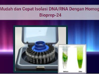 WA. 0812-9318-5185 | Cara Mudah dan Cepat Isolasi DNA/RNA Dengan Homogenizer Bioprep-24