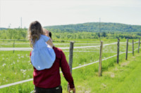 field-dandelion-sunny-daughter