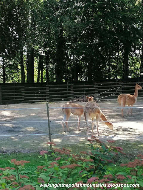 ZOO in Kraków