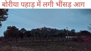 जिड़ार के समीप जंगल में लगी भीषण आग|पशु-पक्षी खतरे में।fire in forest of boria|mainpur forest vibhag,mainpur forest services