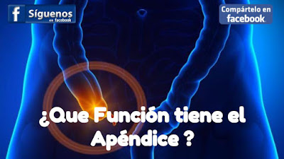 Apendicitis