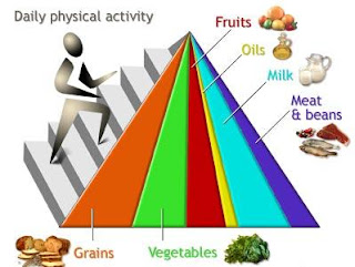 Special Diet for Pregnant Women