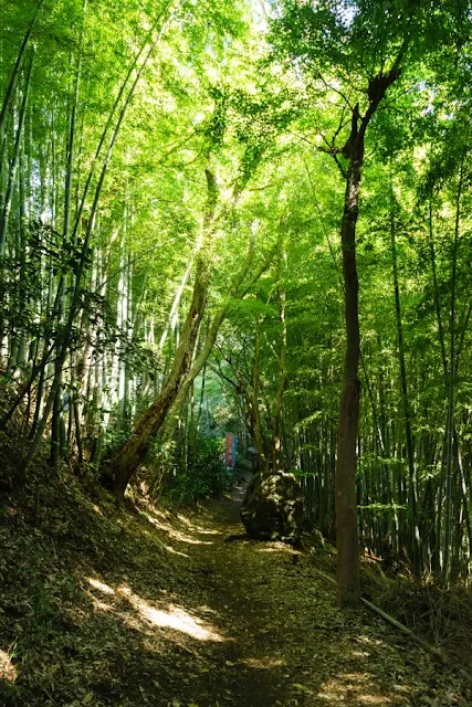 鎌倉アルプス・天園ハイキングコース