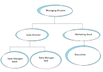 Role Hierarchy in Salesforce