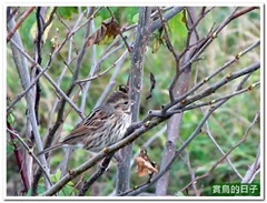 20120126_111032_008_BeiTou_9