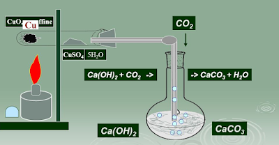 Detection of Carbon and Hydrogen