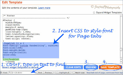 Template's screen shot showing how to insert CSS text to change the Pages tabs's font