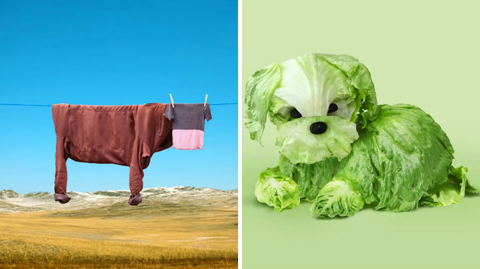 Artist Helga Stentzel turns everyday household items into fun characters.