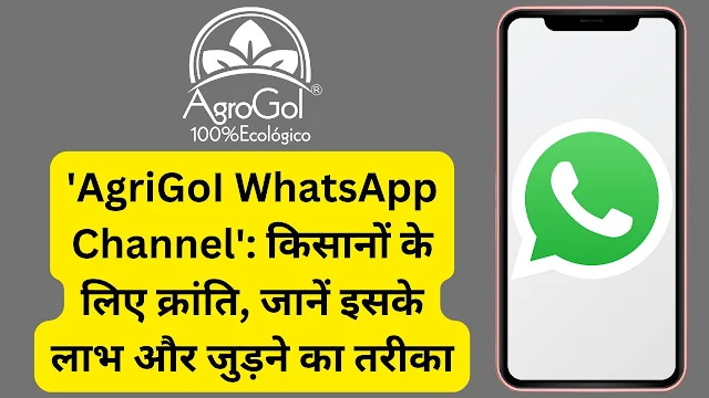 'AgriGoI WhatsApp Channel': किसानों के लिए क्रांति, जानें इसके लाभ और जुड़ने का तरीका