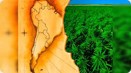 droga_Latinoamerica
