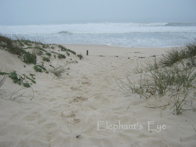 Path to the sea from Rocher Pan