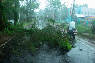 The meteorological department has requested that after the trees in different places, or power outages and storms be warned