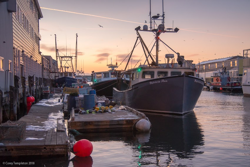 Portland, Maine USA January 2018 photo by Corey Templeton. Boats along Maine Wharf, a slice of the working waterfront in the Old Port. 