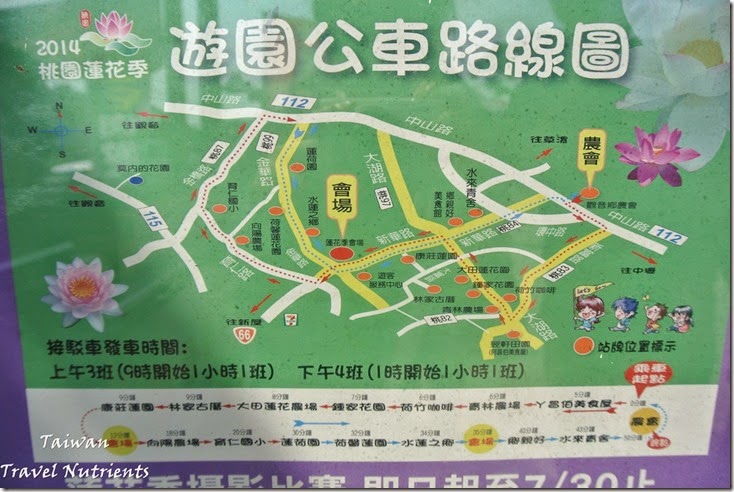 桃園觀音蓮花季 (3)
