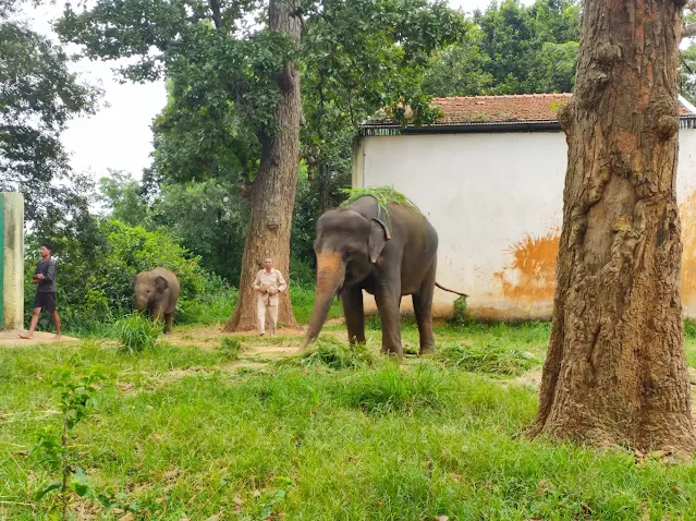 Ormanjhi Zoo