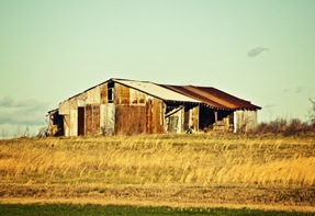 IMG_6108-2