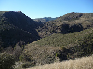 Barranco del Arroyo de Gazachuela