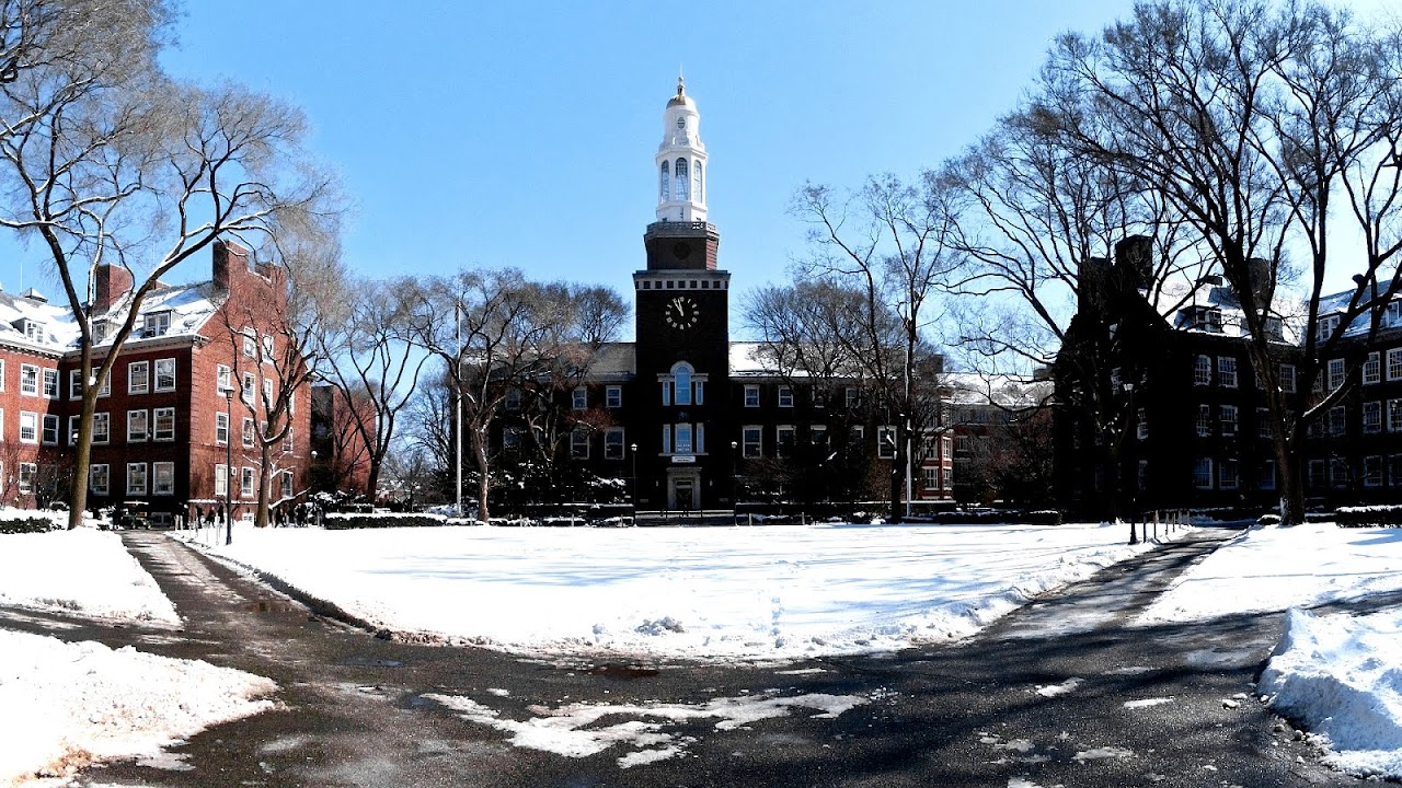 Universities In Brooklyn University