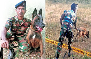 International Award For Sri Lanka Army’s Mine Detection Dog, Alvin