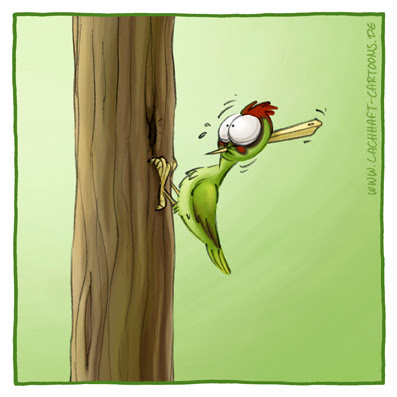 LACHHAFT Cartoon Kopfschmerzen Specht Schnabel Buntspecht Vogel Vögel Baum Wald dumm gelaufen Arbeitsunfall Cartoons Witze witzig witzige lustige Bildwitze Bilderwitze Comic Zeichnungen lustig Karikatur Karikaturen Illustrationen Michael Mantel Spaß Humor