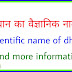 धान का वैज्ञानिक नाम एवं अन्य जानकारी। Scientific name of Dhan।