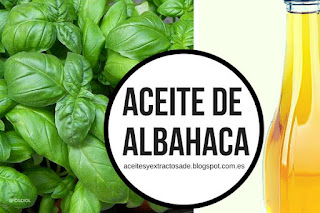 Aceite esencial de albahaca en listado de aceites y esencias para Aromaterapia